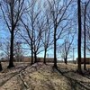 Photo of Mobile Home Lot