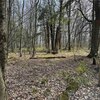 Photo of Mobile Home Lot