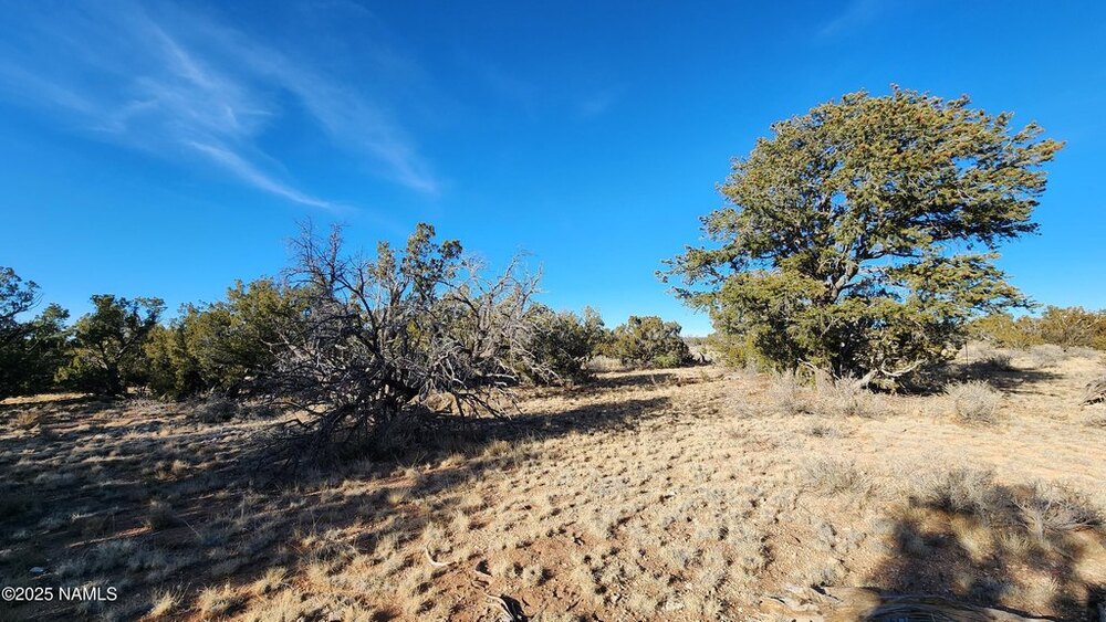 Photo of Mobile Home Lot