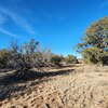 Photo of Mobile Home Lot