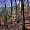 Photo of Mobile Home Lot