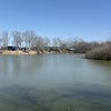 RV Lot for Sale: White Oak Landing lot on the water, Clifton, TN