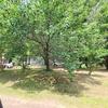 Mobile Home for Sale: 3 Bed 2 Bath Mobile Home