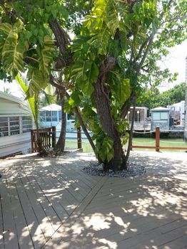 Photo of RV Lot