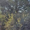 Photo of Mobile Home Lot