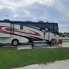 RV for Sale: 2015 Allegro Open Road 31SA