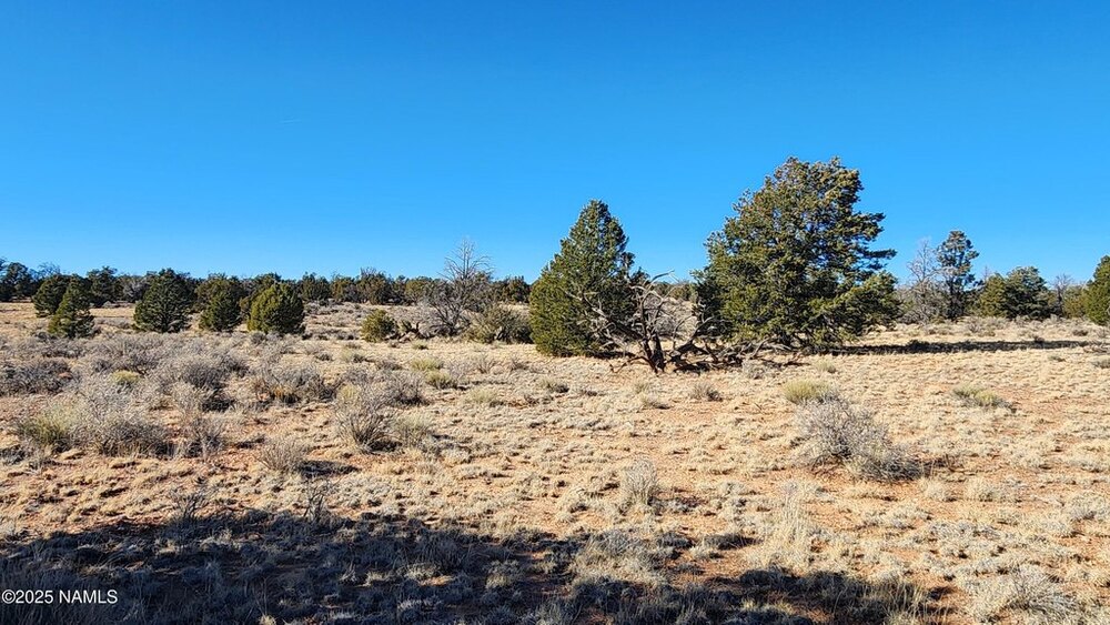 Photo of Mobile Home Lot