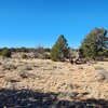Photo of Mobile Home Lot