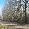 Mobile Home for Sale: Mobile Home