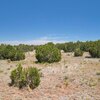 Photo of Mobile Home Lot