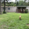Mobile Home for Sale: Clean Used Home, Greenwood, AR
