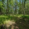 Mobile Home for Sale: Manufactured Home - MICANOPY, FL, Micanopy, FL
