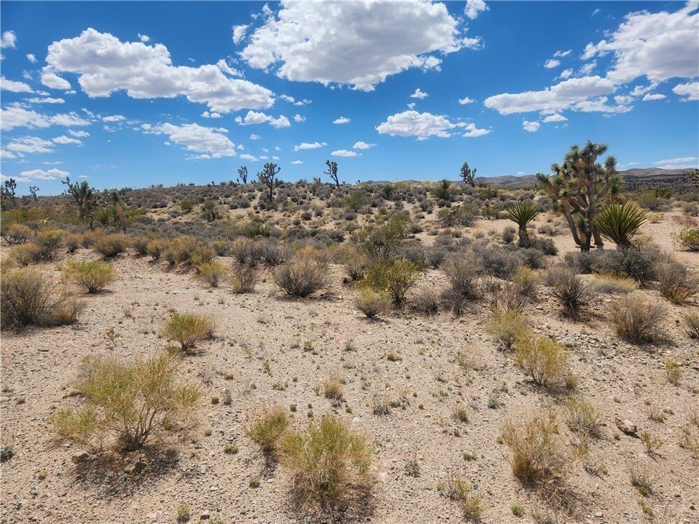 Photo of Mobile Home Lot
