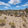 Photo of Mobile Home Lot