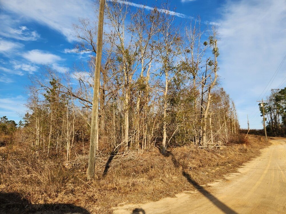 Photo of Mobile Home Lot