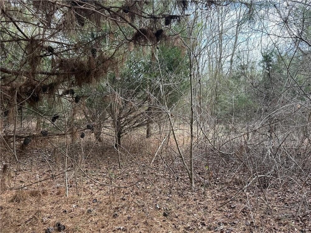 Photo of Mobile Home Lot