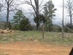 Photo of Mobile Home Lot