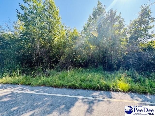 Photo of Mobile Home Lot