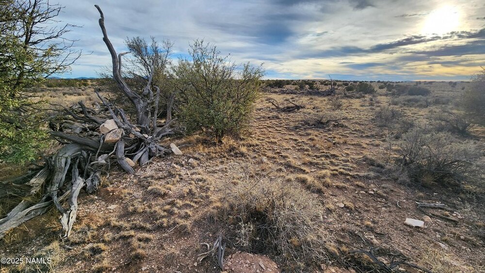 Photo of Mobile Home Lot