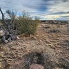 Photo of Mobile Home Lot