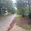 Mobile Home for Sale: 2019 Mobile Home