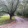 Mobile Home for Sale: 2016 Mobile Home