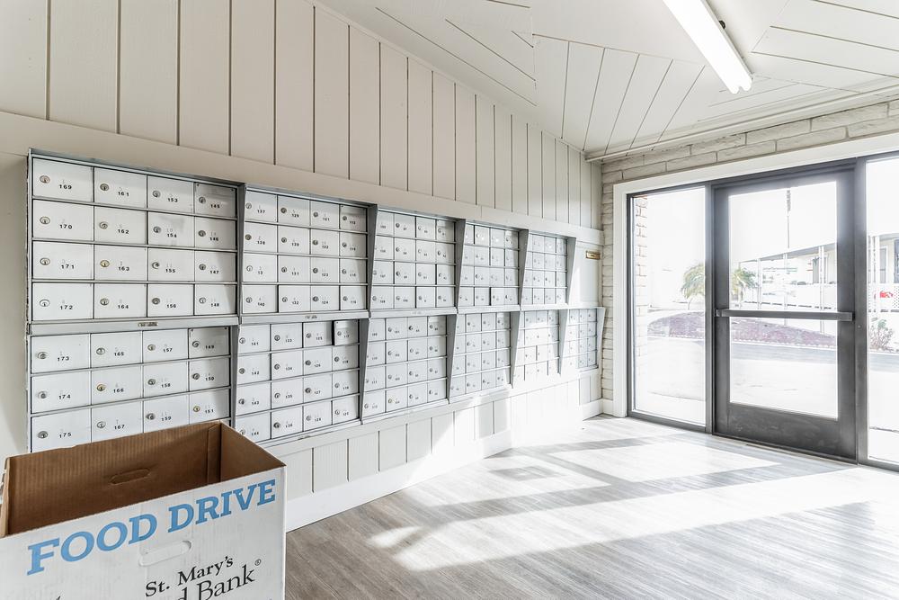 2048x1365 10810 N 91st Ave  Peoria  AZ 85345  USA ThuJan1820241705551648823.JPG