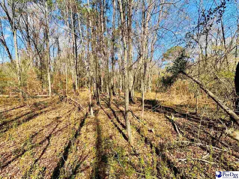 Photo of Mobile Home Lot