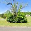 Mobile Home for Sale: 3 Bed 2 Bath 1999 Mobile Home