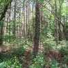 Photo of Mobile Home Lot