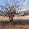 Mobile Home for Sale: 1999 Mobile Home