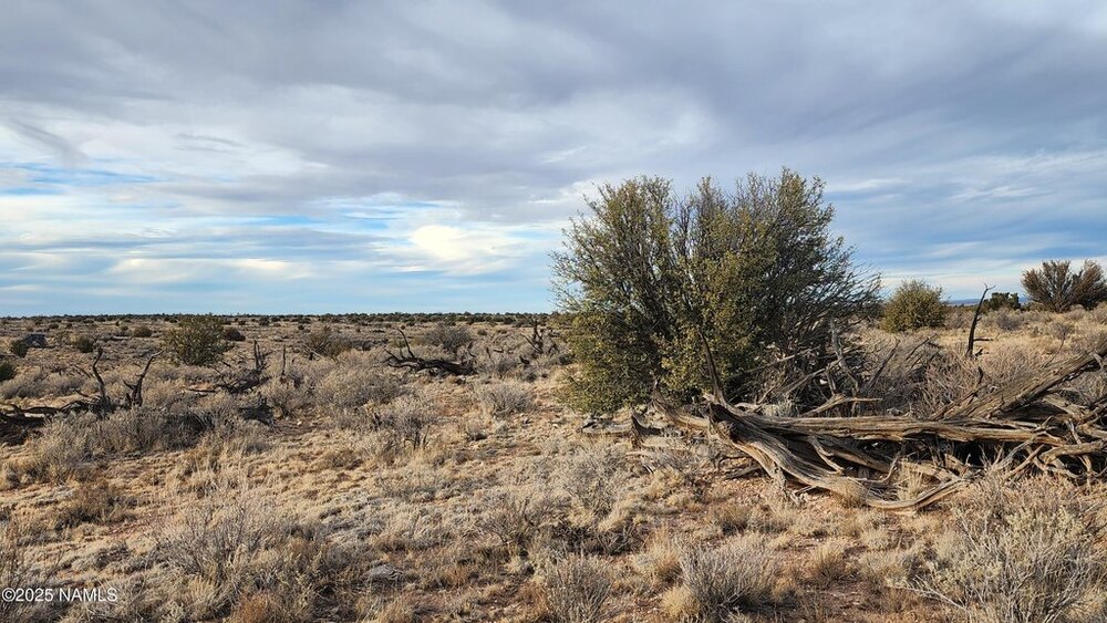 Photo of Mobile Home Lot