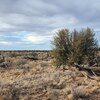 Photo of Mobile Home Lot