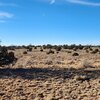 Photo of Mobile Home Lot