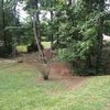 Photo of Mobile Home Lot