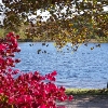 Cross Creek 8