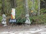 Photo of Mobile Home Lot