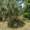 Mobile Home for Sale: 1984 Mobile Home