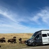 RV for Sale: 2023 EKKO 22A