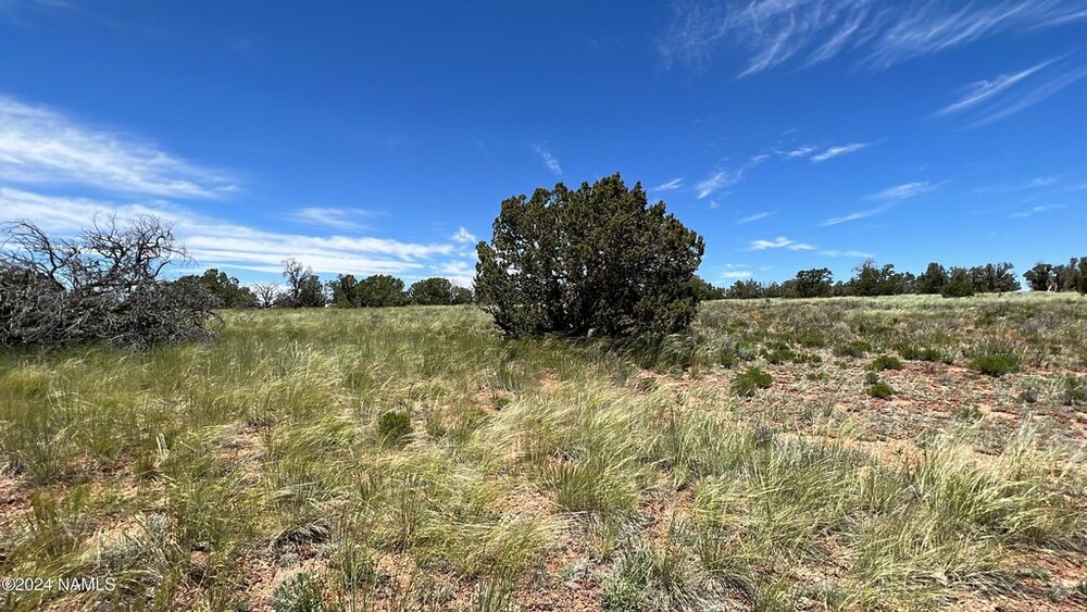 Photo of Mobile Home Lot