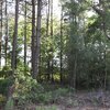 Photo of Mobile Home Lot