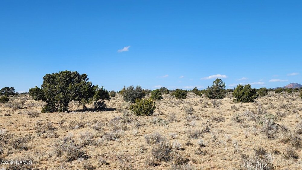 Photo of Mobile Home Lot
