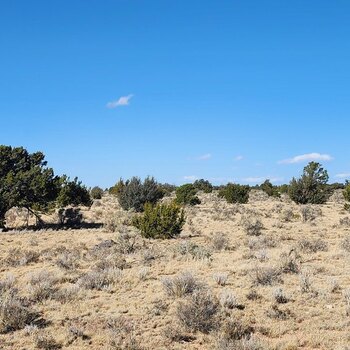 Thumbnail of mobile home lot