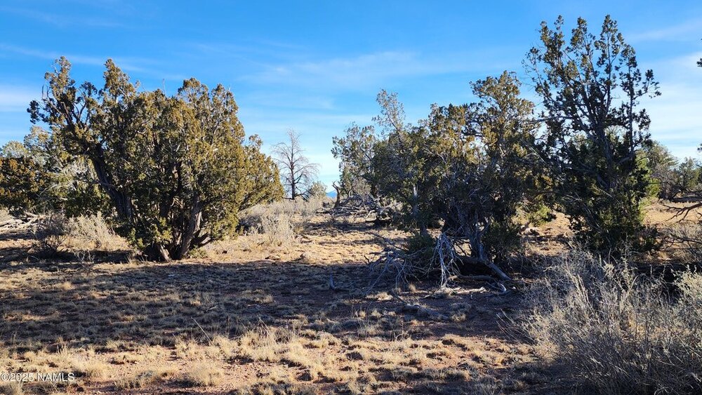 Photo of Mobile Home Lot