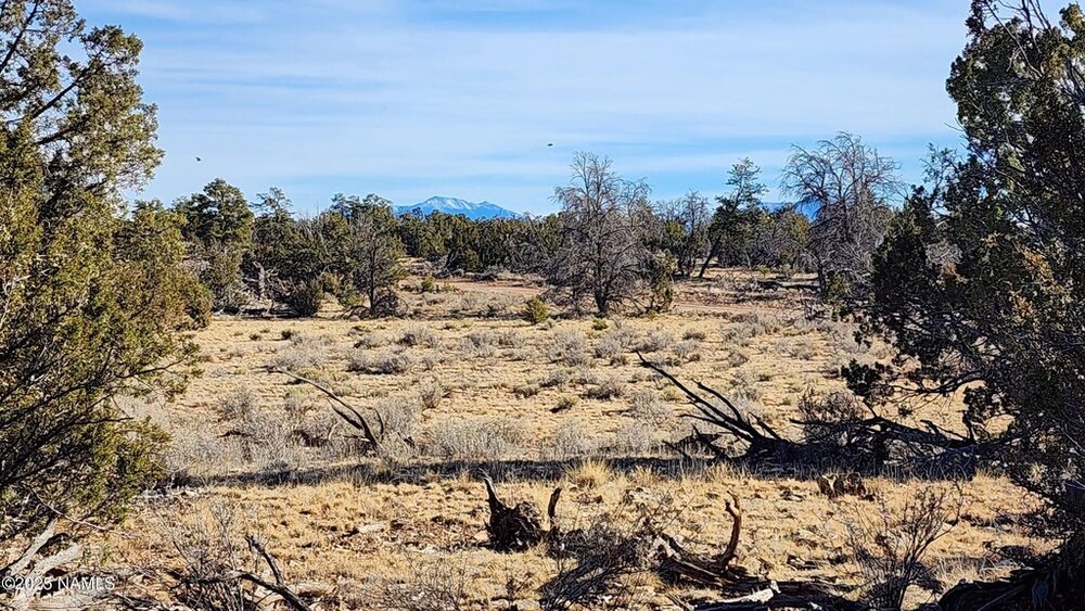 Photo of Mobile Home Lot