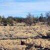 Photo of Mobile Home Lot