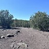 Photo of Mobile Home Lot