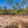 Photo of Mobile Home Lot