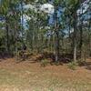 Mobile Home for Sale: 4 Bed 2 Bath 2000 Mobile Home