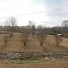 Mobile Home for Sale: 2020 Mobile Home